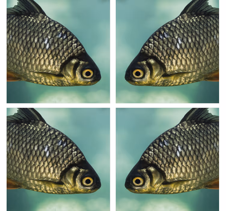 Bases para copos com imagens realistas de peixes - TenStickers