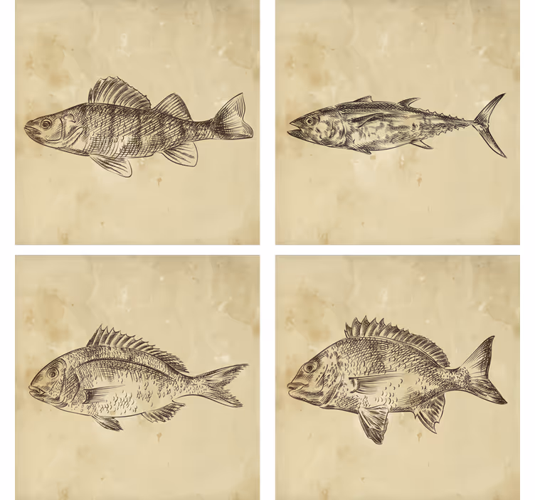Bases para copos ilustração de peixes divertidos - TenStickers
