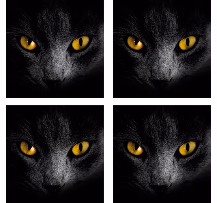 base para copos de halloween gato preto - TenStickers