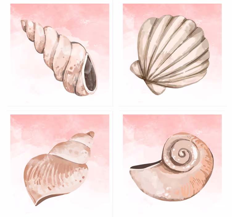 Bases para copos modernas conchas com splash rosa - TenStickers