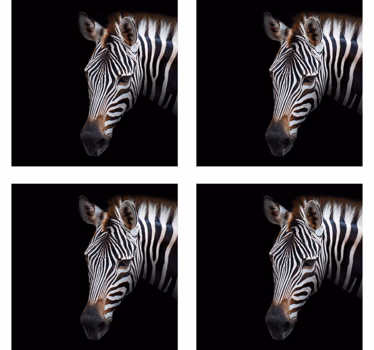 Bases para copos modernas ilustração de cabeça de zebra - TenStickers