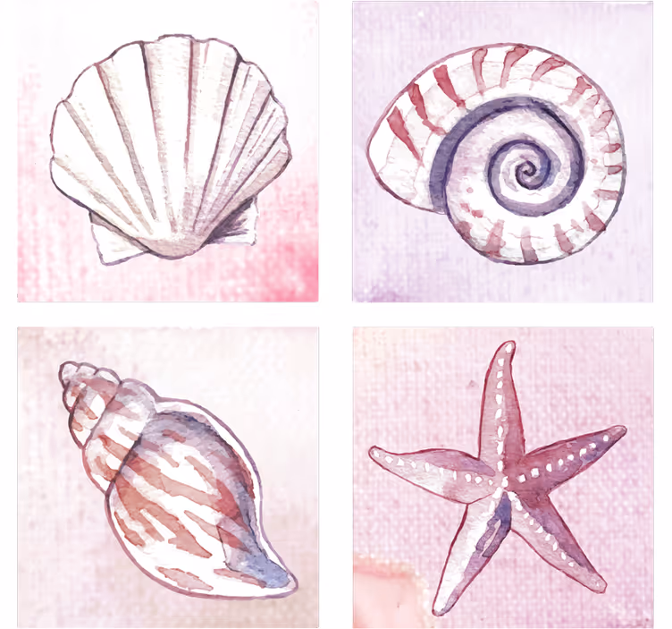 Bases para copos em aquarelas de conchas naturais - TenStickers