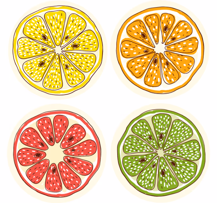 Bases para copos motivos de fatias cítricas - TenStickers