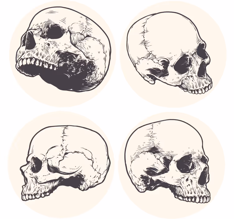 Bases para copos conjunto de ilustrações de caveiras - TenStickers