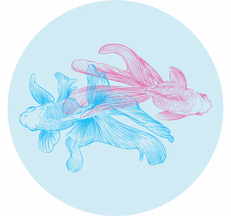 Bases para copos ilustrações de peixes bicolor - TenStickers