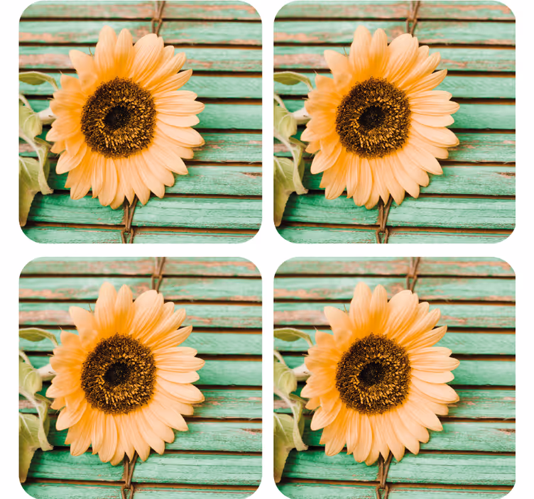 Bases para copos modernas girassol com fundo verde - TenStickers