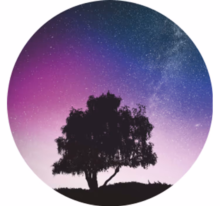 Bases para copos modernas noite estrelada com Árvore - TenStickers