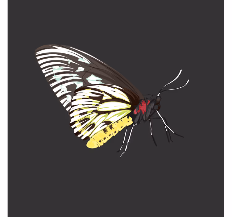 Bases para copos arte de borboleta colorida - TenStickers