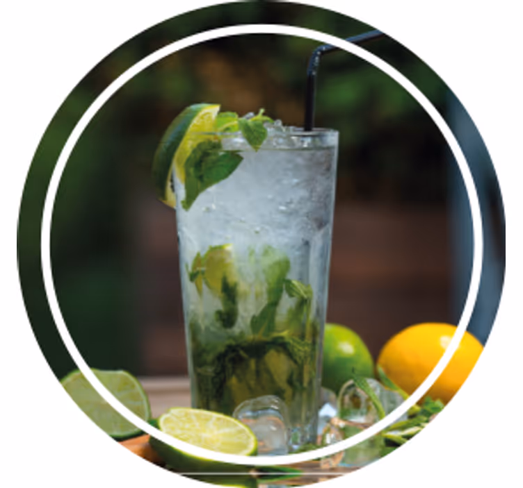 Bases para copos modernas bebida refrescante de menta - TenStickers