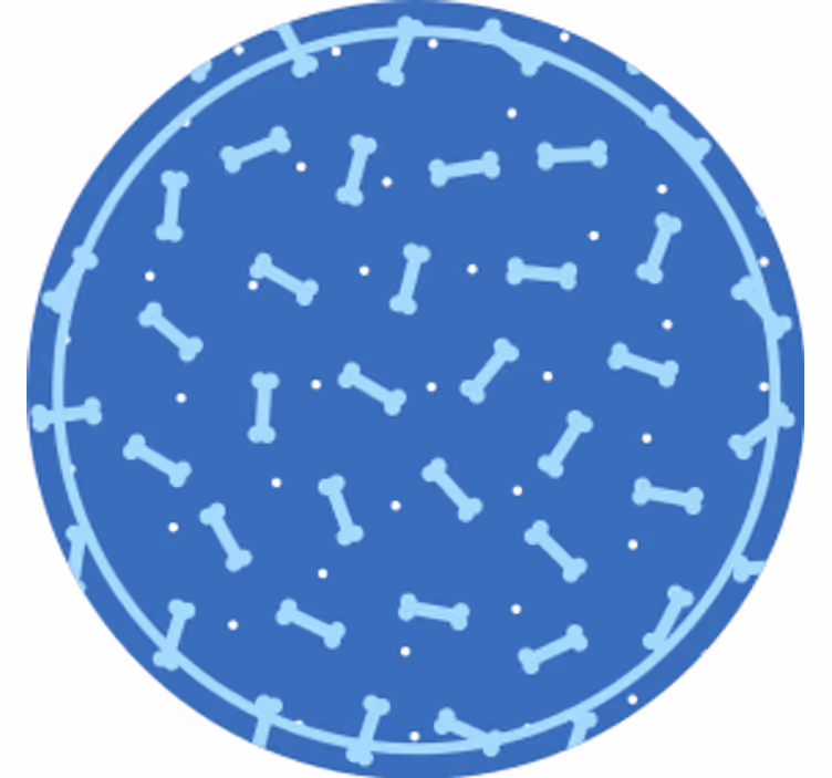Bases para copos com padrão de osso - TenStickers