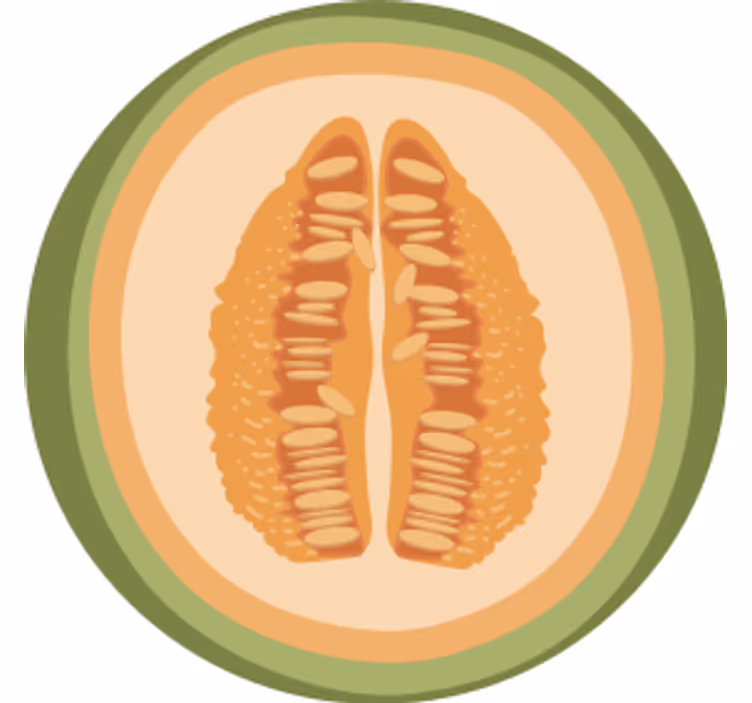 Bases para copos com motivos de fatias de frutas - TenStickers