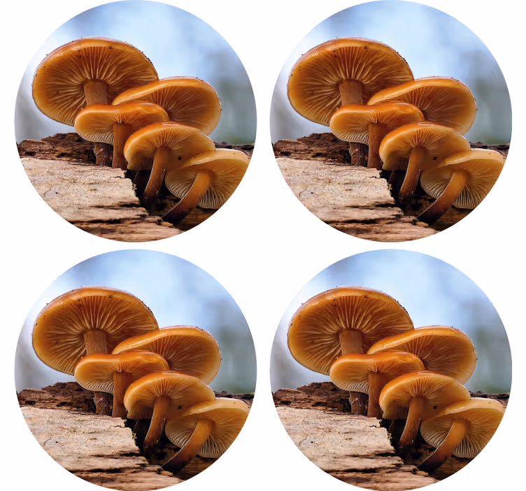 Bases para copos modernas arranjo de cogumelos - TenStickers