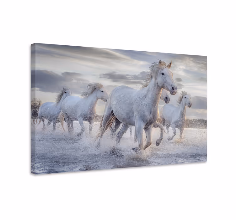 Quadro decorativo de cavalos mural de cavalos bebendo - TenStickers