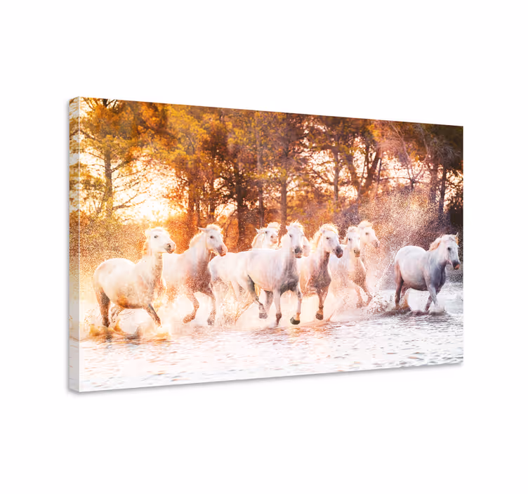 Quadro decorativo de cavalos vista do pôr do sol quente - TenStickers