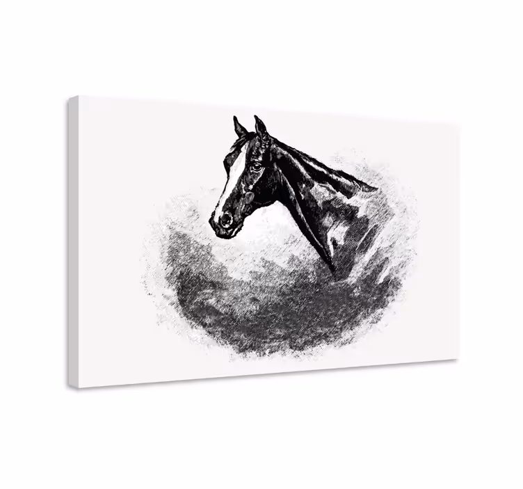 Quadro decorativo de cavalos em grafite - TenStickers