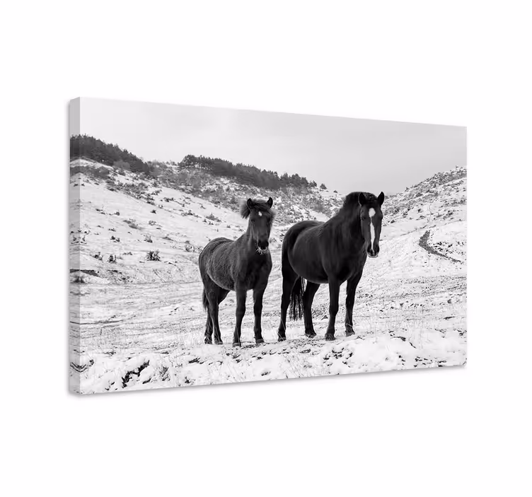 Quadro decorativo de cavalos em meio à neve - TenStickers