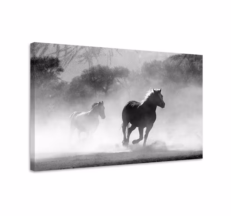 Quadro decorativo de cavalos branco e preto - TenStickers