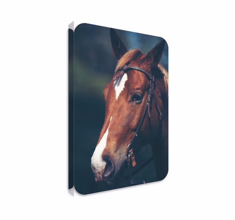 Quadro decorativo de cavalos cabeça de cavalo - TenStickers