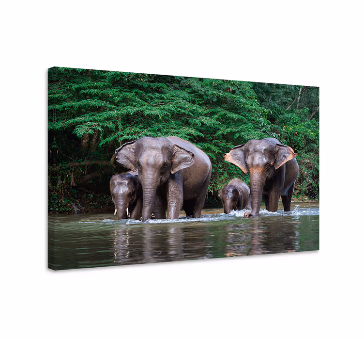 Quadro de elefantes na selva com animais - TenStickers