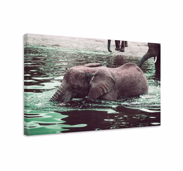 Quadro de elefantes bebendo água - TenStickers