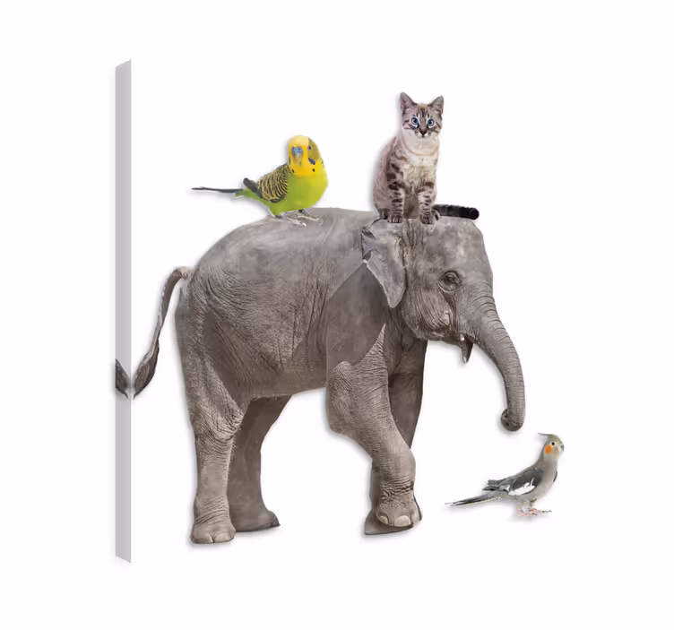 Quadro de elefantes e outros animais - TenStickers