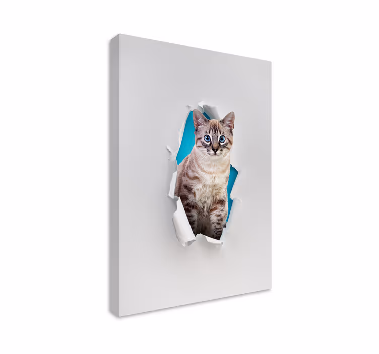 Quadro com gatos e felinos encantadores - TenStickers