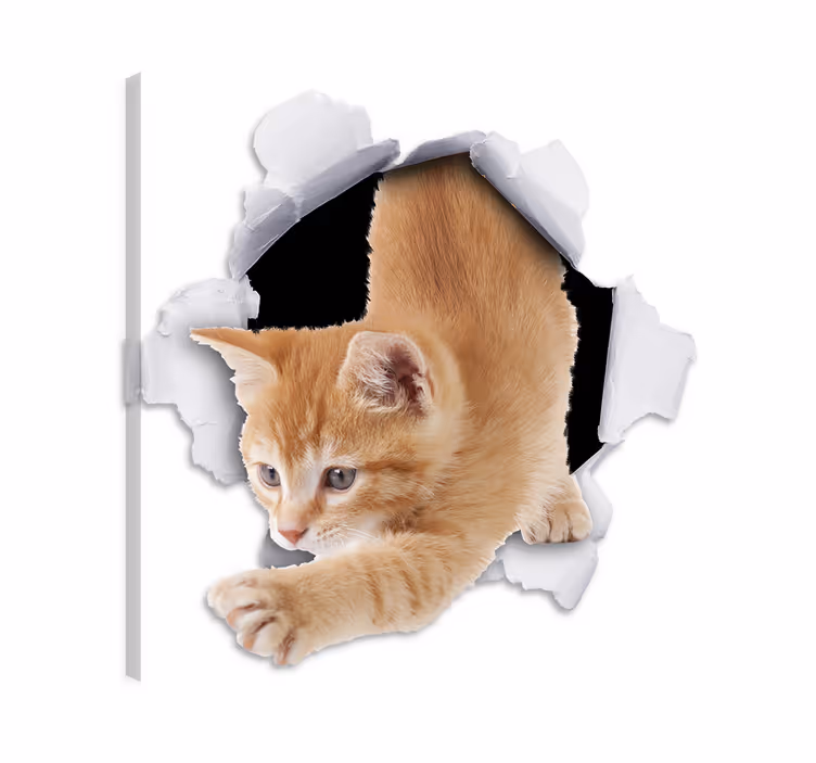 Quadro com gatos efeito 3d decorativo - TenStickers