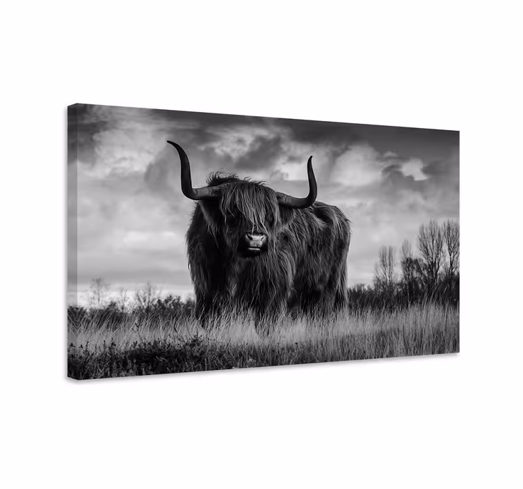 Quadro animais Gado preto e branco das montanhas - TenStickers