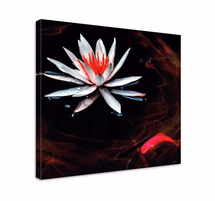 Quadro de flores lótus na Água - TenStickers