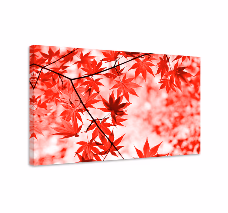 Quadro de flores folhas de bordo vermelho vivo - TenStickers
