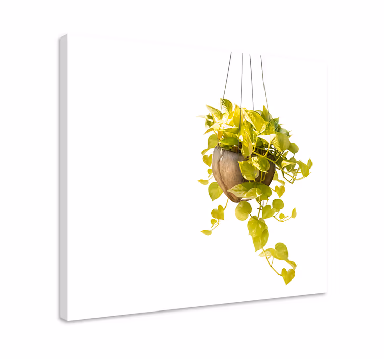 Quadro de plantas Cesta pendurada - TenStickers