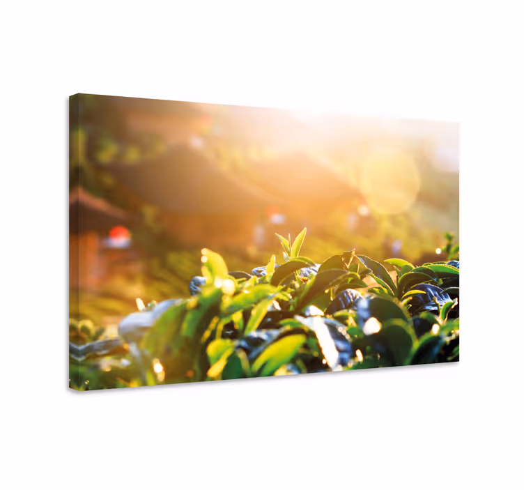 Quadro de flores folhas de chá da manhã - TenStickers