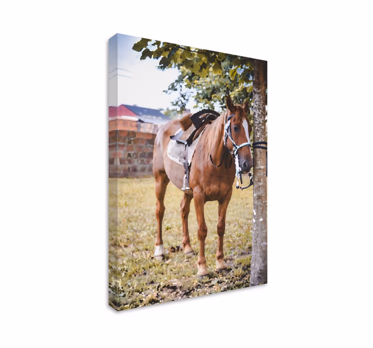 Quadro decorativo de cavalos cavalo marrom elegante - TenStickers