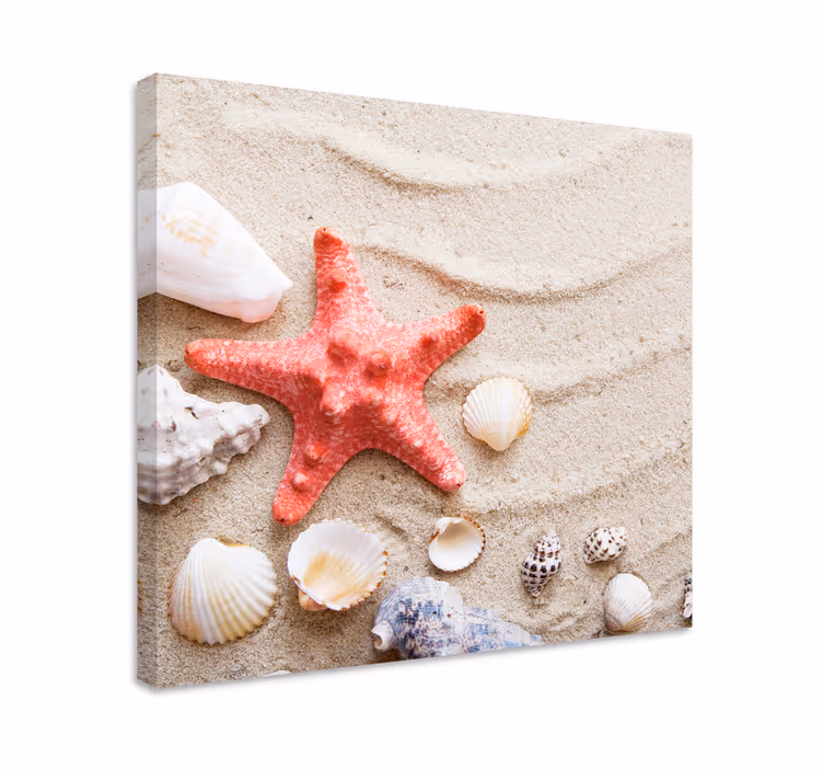 Quadro animais Estrela do mar e conchas na areia - TenStickers