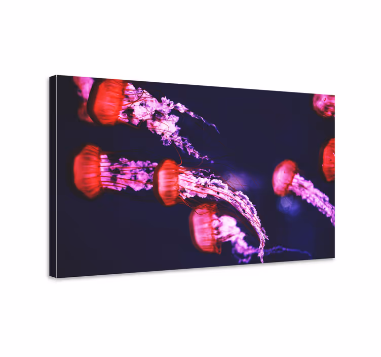 Quadro animais produtode medusa - TenStickers