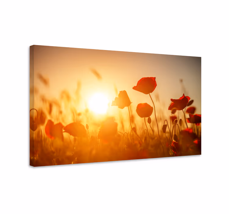 Quadro de flores Flores vermelhas no pôr do sol - TenStickers
