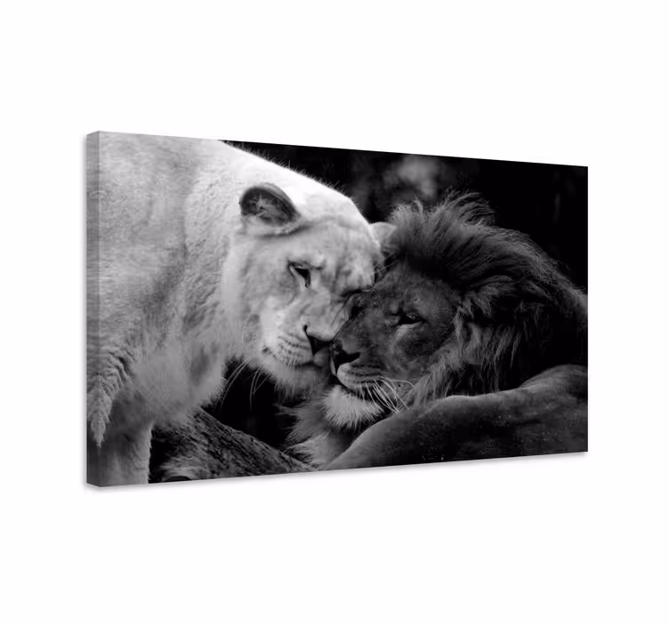 Quadro animais Casal de leões preto e branco - TenStickers