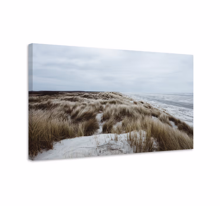 Quadro de paisagem vista de duna costeira - TenStickers
