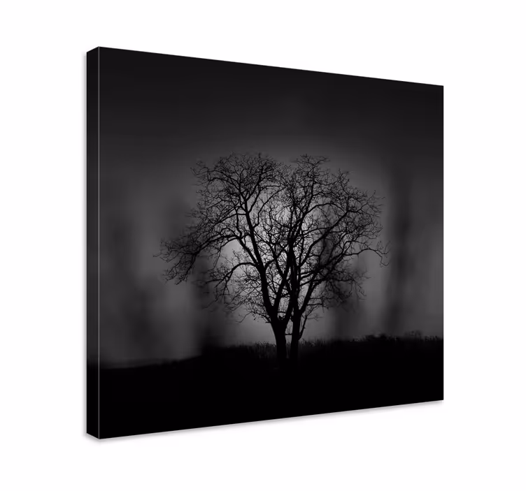 Quadro de árvores árvore enevoada - TenStickers