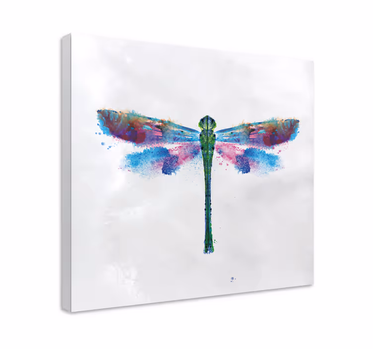 Quadro de libélulas com design colorido - TenStickers