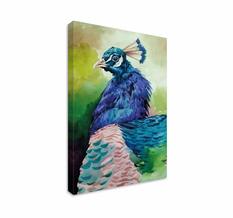 Quadro de pássaros retrato de pavo real majestoso - TenStickers