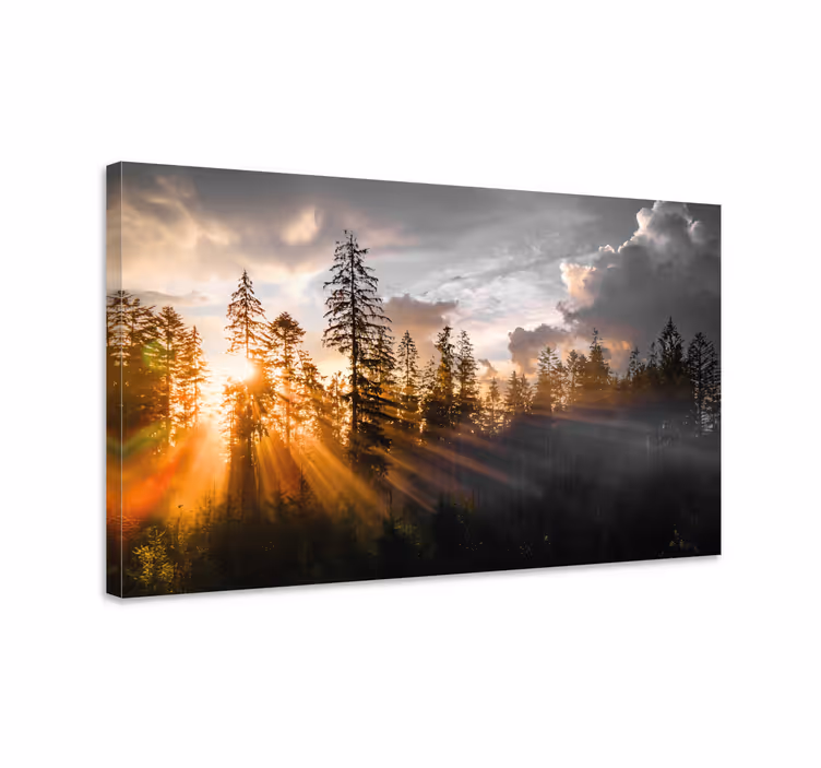 Quadro de paisage Floresta com nevoeiro e sol - TenStickers