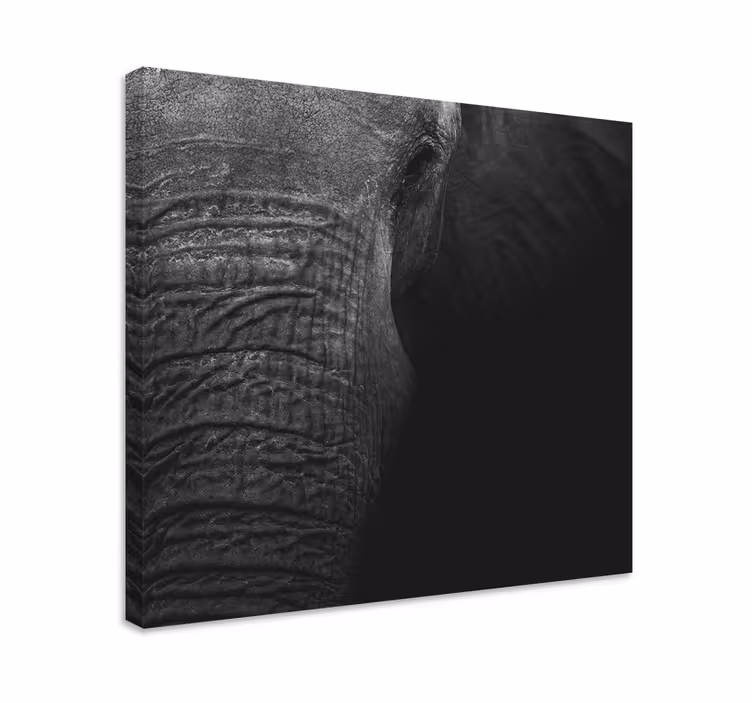 Quadro de elefantes retrato de elefante majestoso - TenStickers