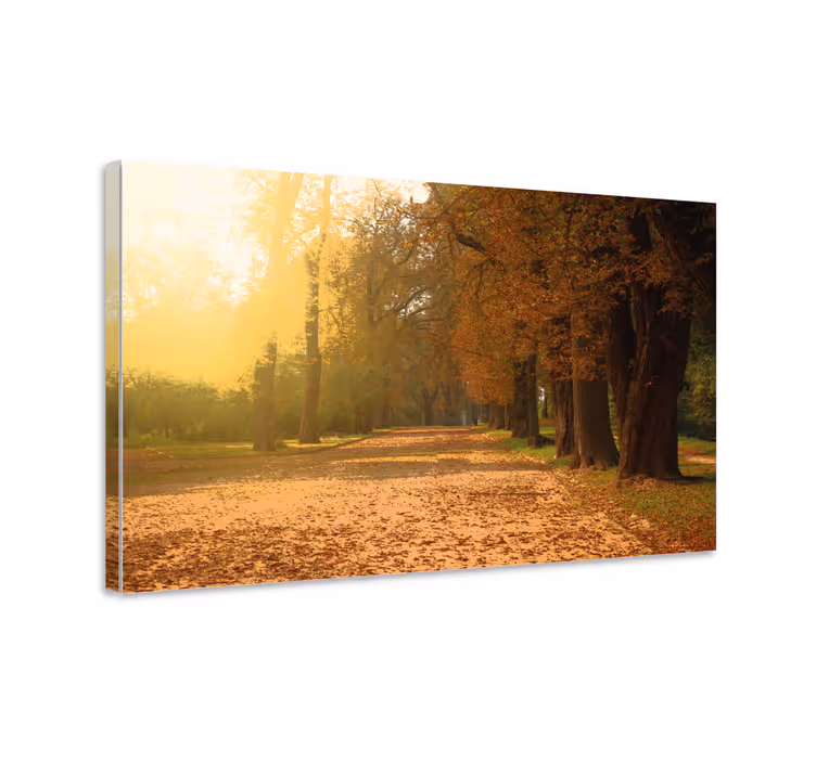 Quadro de paisagem caminho de outono - TenStickers