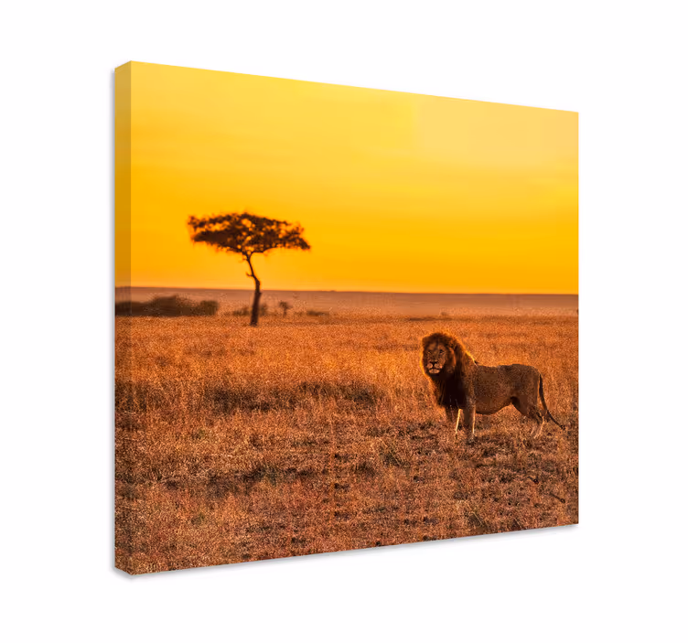 Quadro animais árvore de savana selvagem à noite - TenStickers