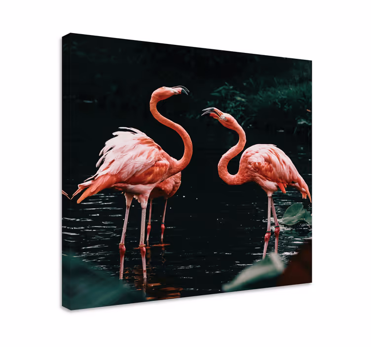 Quadro animais Casal de flamingos - TenStickers
