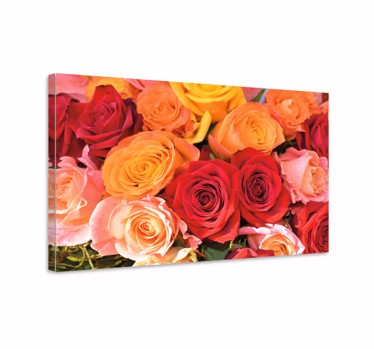 Quadro de flores Rosas vermelhas e rosa laranja - TenStickers