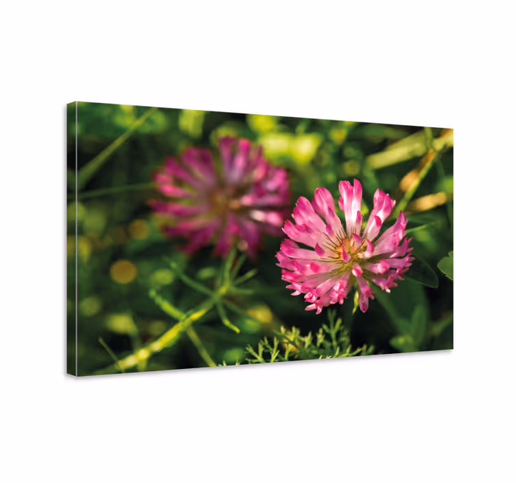 Quadro de flores bouquet de flores rosas - TenStickers