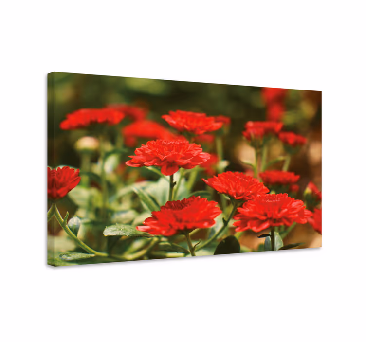 Quadro de flores flores vermelhas em flor - TenStickers