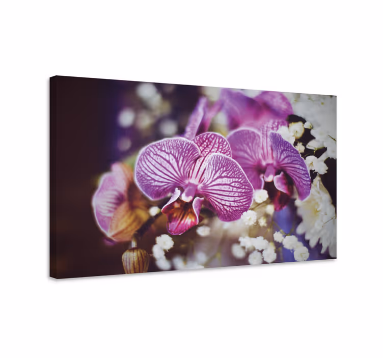 Quadro de flores detalhe das flores de orquídea - TenStickers